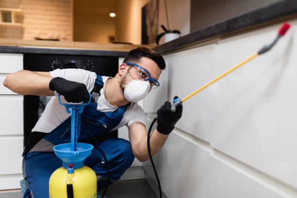 Best Affordable Pest Control Services  in Schenectady, NY
